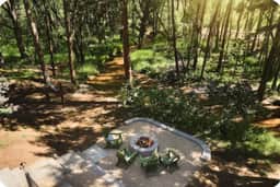 Peaceful Retreat w/ TWO Hot Tubs, Sauna, Fire Pits